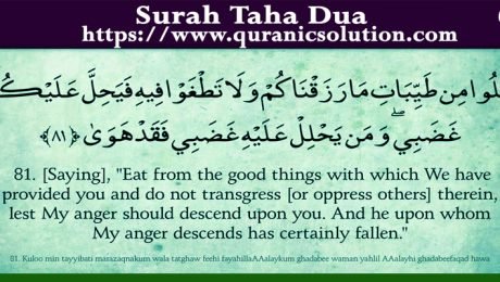 Surah Taha Dua